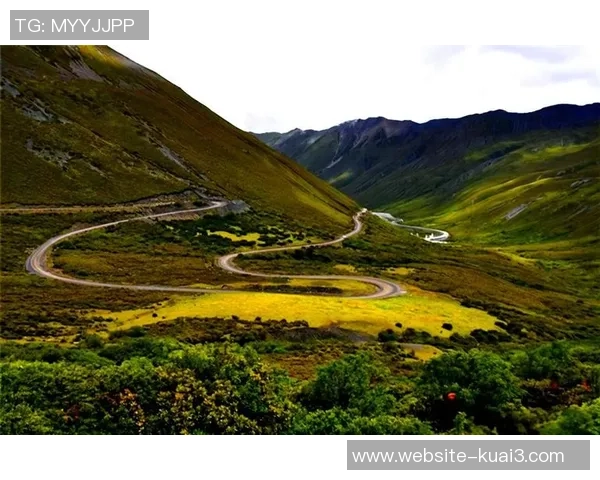 山与MIfc的对决探索自然与科技的交融之美 山与MIfc的对决探索自然与科技的交融之美