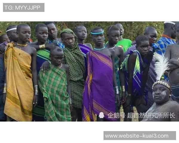 探索巴尔德的神秘世界与历史传承之旅